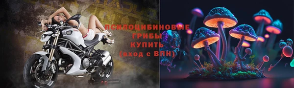 прущий лед Гусев