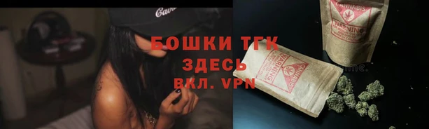твердый Гусиноозёрск