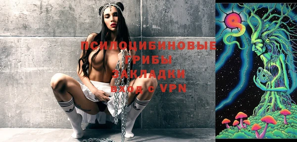 твердый Гусиноозёрск