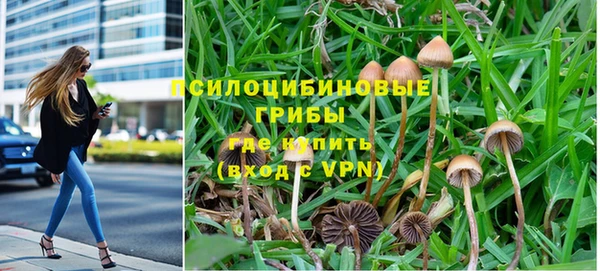 прущий лед Гусев