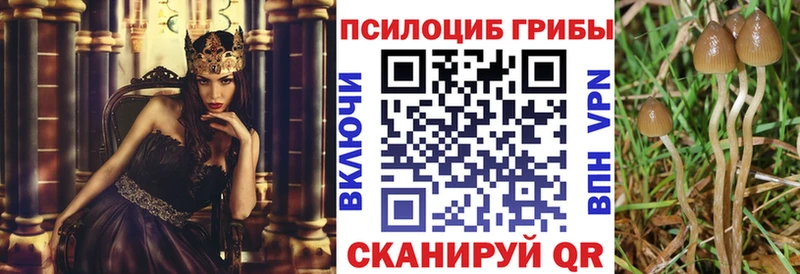 Галлюциногенные грибы Magic Shrooms  Купить закладки  Кимры 